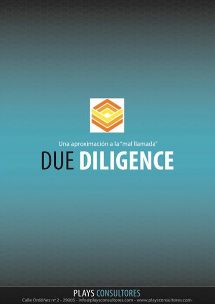 ebook - Due Diligence
